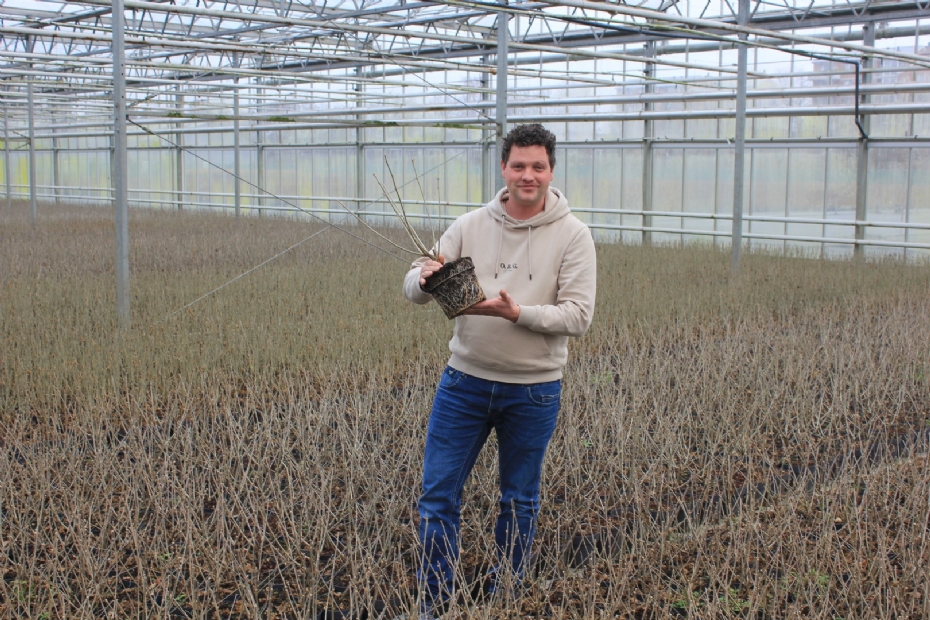 Operationeel manager Twan Kranenburg van Kwekerij Roos.