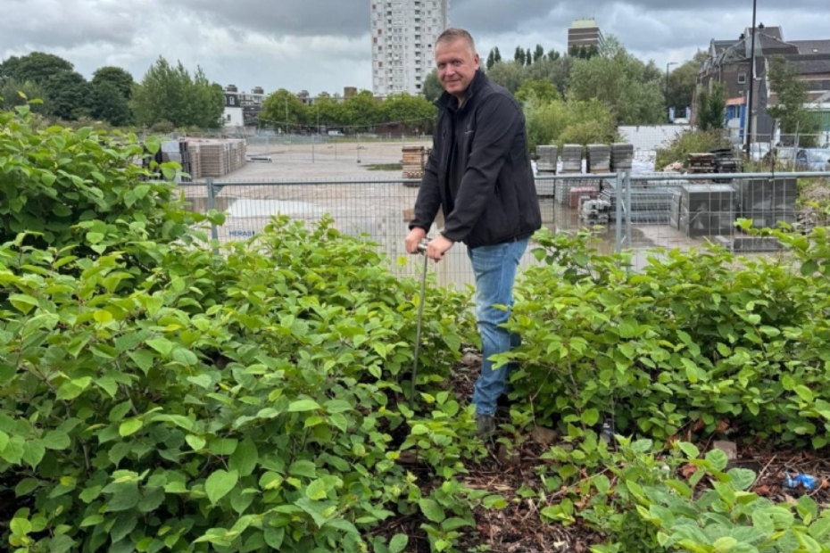 Inspectie van Japanse Duizendknoop met bodemmetingen.