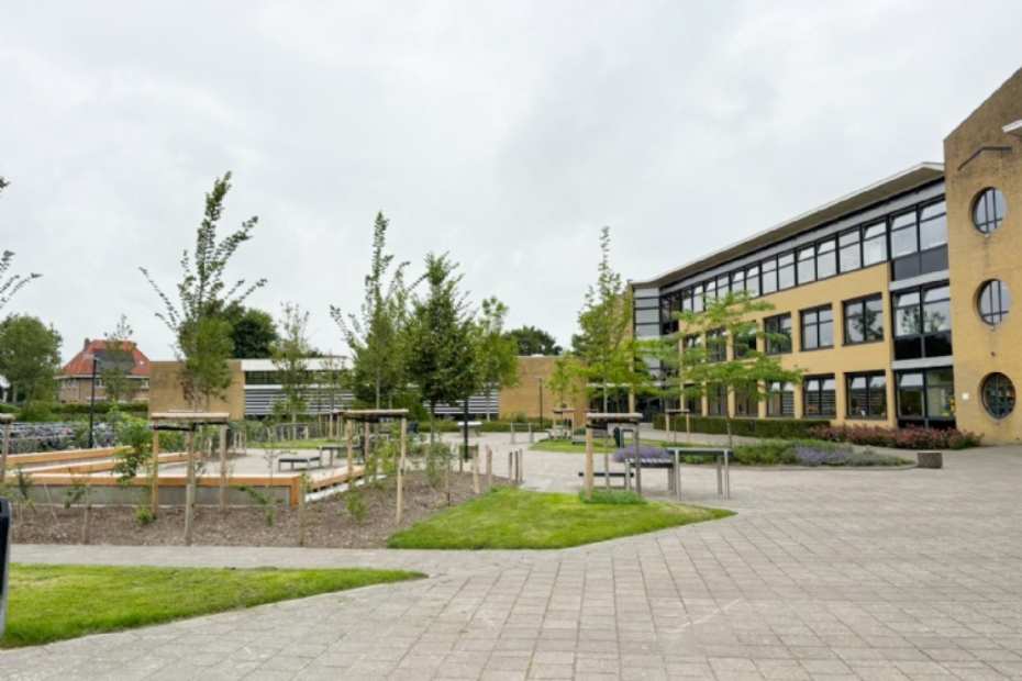 Het schoolplein van RSG Magister Alvinus in Sneek: een duurzaam totaalproject van Snoek Puur Groen.