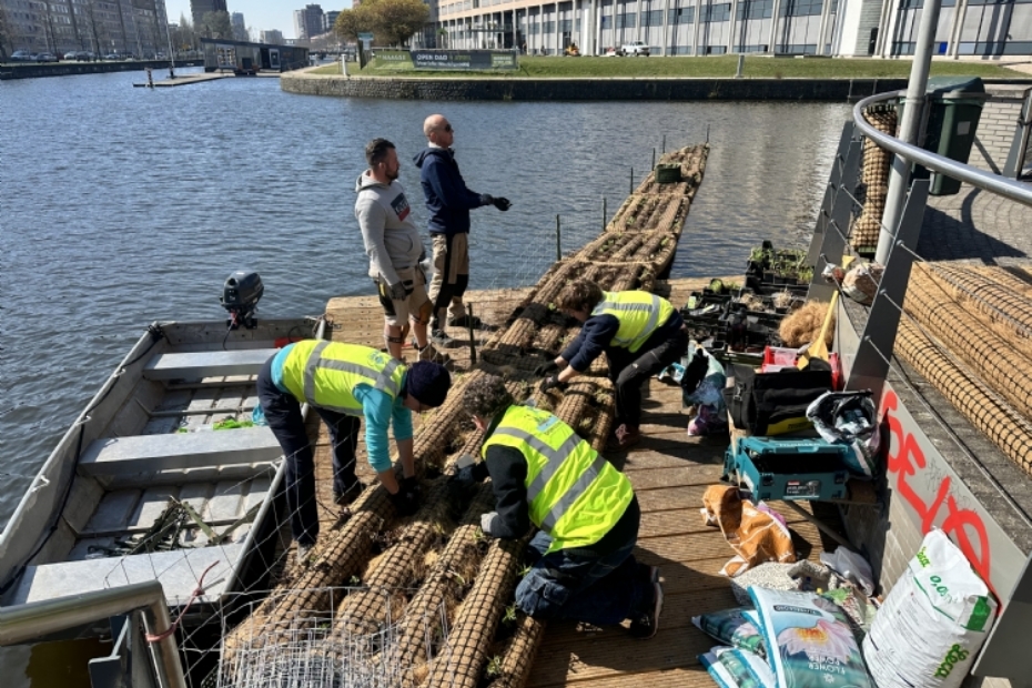 Koppelen en inplanten van de eilanden.