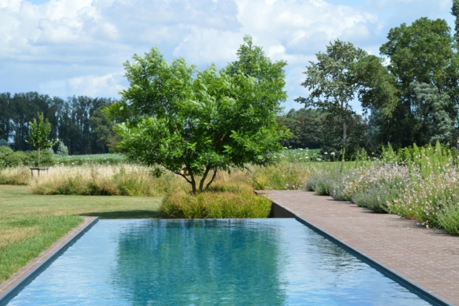 Jonas D'hoore - Creatief in groen SeptimA Sepia