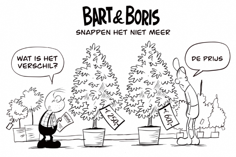 Bart & boris snappen het niet meer