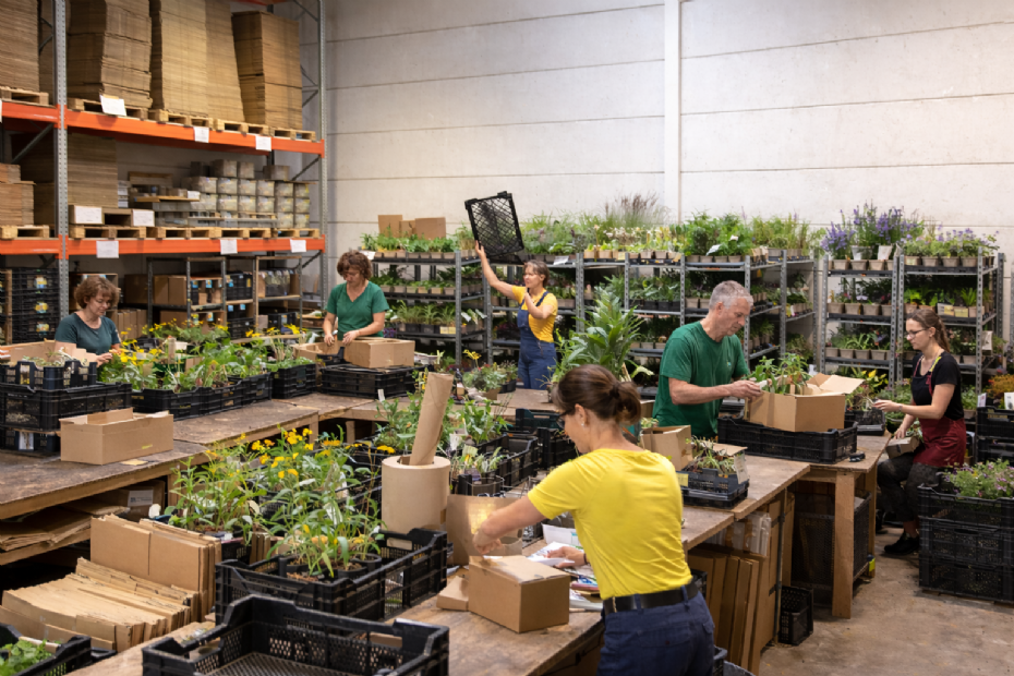 Beeld ter illustratie, gegenereerd met AI