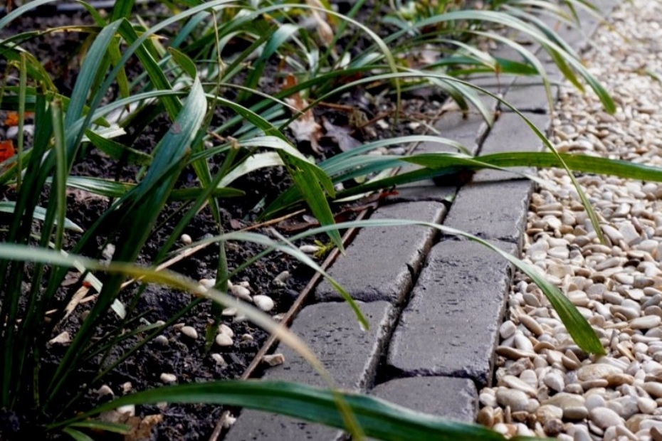 Ronde lijnen verzachten het geheel, terwijl de beplanting bewust rustig blijft