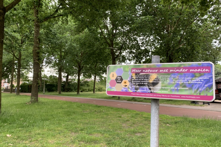 Ecologisch maaibeleid van de gemeente Tilburg, beeld ter illustratie