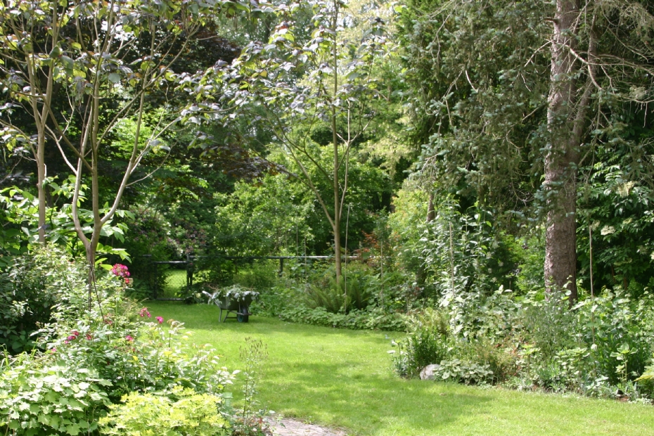 Een langetermijnvisie vraagt kennis van planten, groeiwijze en groeiplaatsomstandigheden