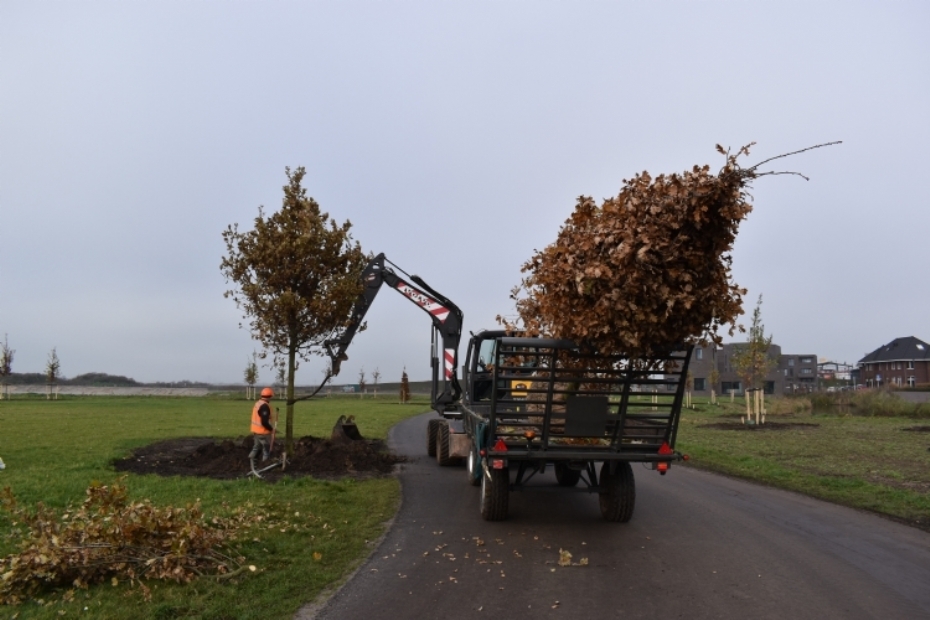 J. De Ridder BV voerde werkzaamheden uit in Park Westerlaak.