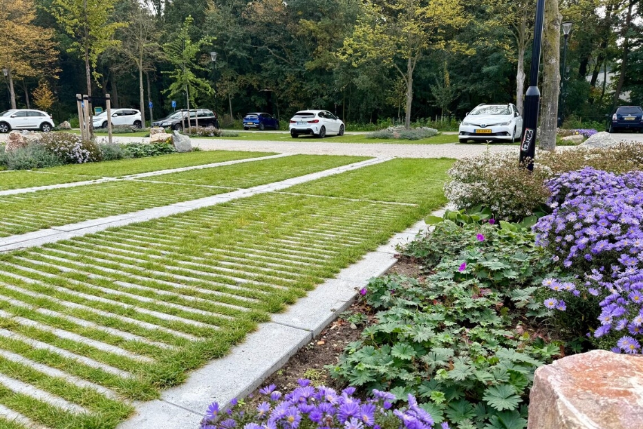 Bij Plasmolen werd EUROGRASS MaaiMinder gebruikt voor groen parkeren (Beeld via: DSV zaden)