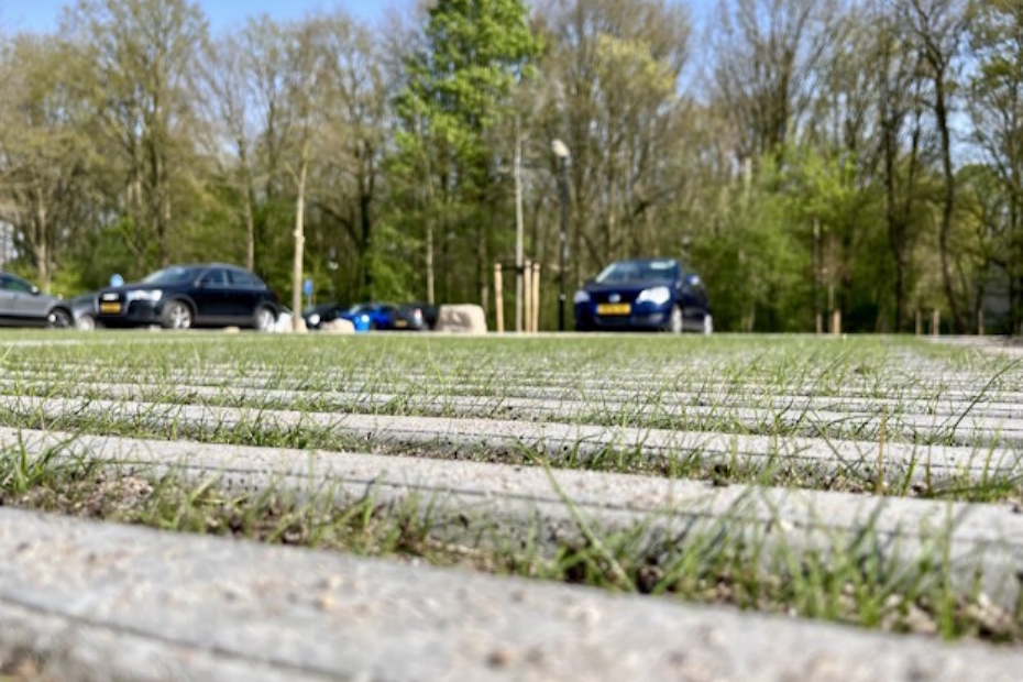 Bij Plasmolen werd EUROGRASS MaaiMinder gebruikt voor groen parkeren (Beeld via: DSV zaden) Bij Plasmolen werd EUROGRASS MaaiMinder gebruikt voor groen parkeren (Beeld via: DSV zaden)