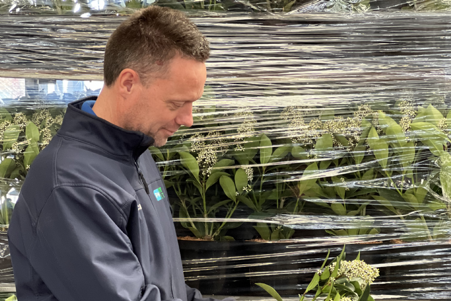 Accuraat aanbod van online beschikbare beplanting maakt inkoop via Plant Market betrouwbaarder dan via traditionele voorraadlijsten