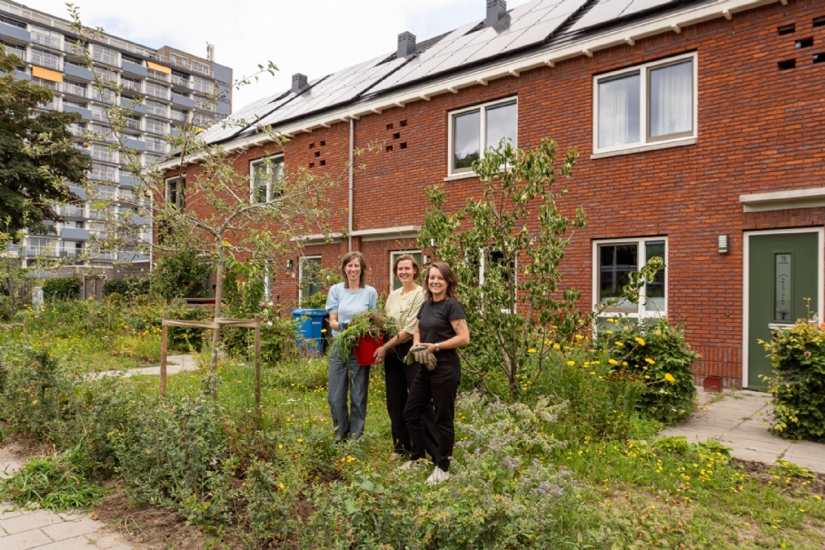 De situatie n� een vergroeningsproject dat Trees for All ondersteunde in Zwolle (Beeld: Trees for All)